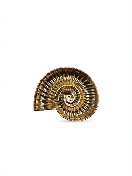 Unique Fancy Shell Button