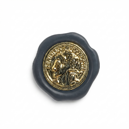 Metal Shank Button